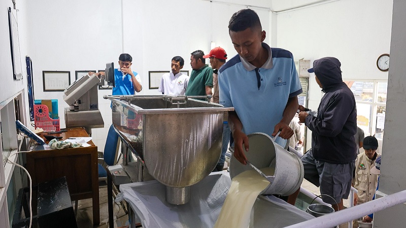 Produksi susu sapi perahan KPSP Setia Kawan. (Foto: ALI/RMB)